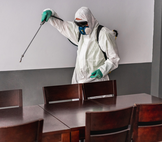 BG Service - Servizi Pulizia Ristoranti