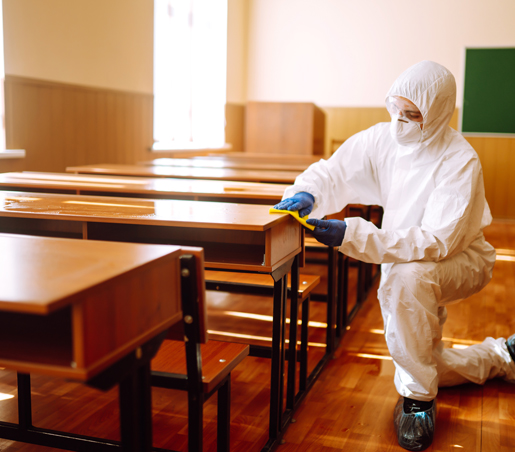 BG Service - Servizi Pulizia Scuole