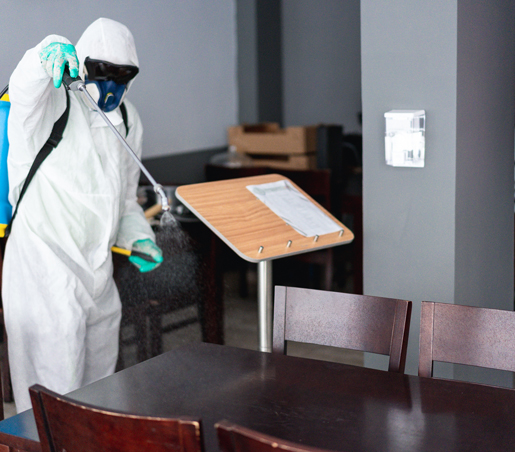 BG Service - Sanificazione Ristoranti e Bar