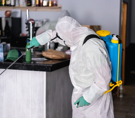 BG Service - Sanificazione Ristoranti e Bar