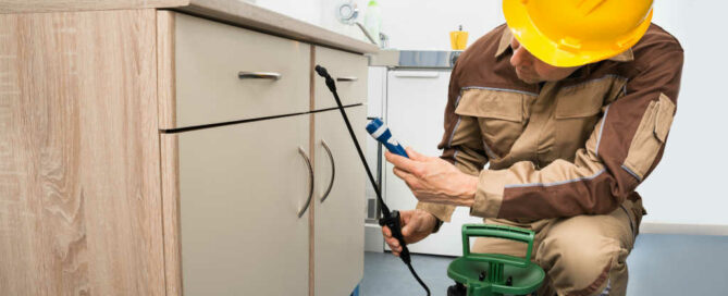 imprese-pulizia-disinfestazione-come-perche-procedere