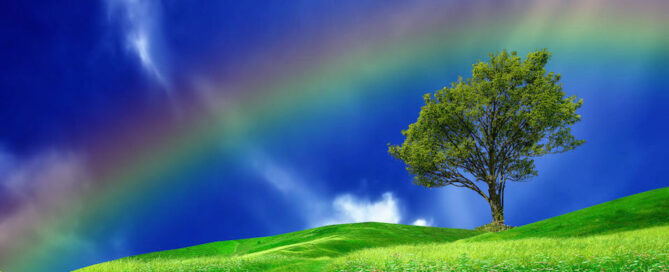 nuovo-sito-online-bg-service