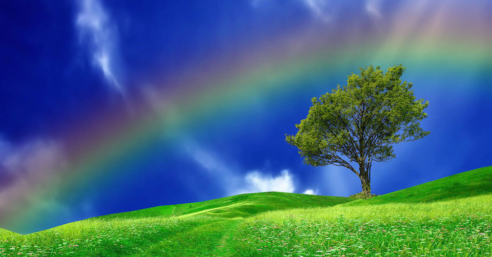 nuovo-sito-online-bg-service